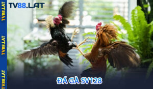 Đá Gà SV128
